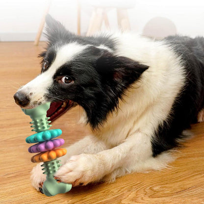 Gum Massage Tough Dog Toys