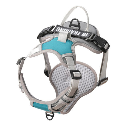 Outdoor Walking Breathable Dog Harness