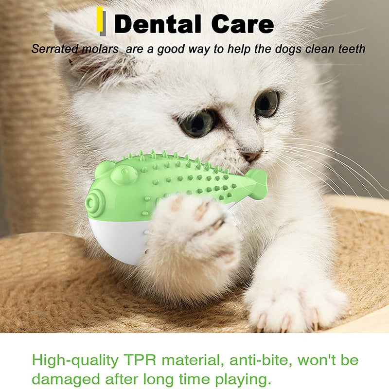 Interactive Cat Toothbrush Chew Toy