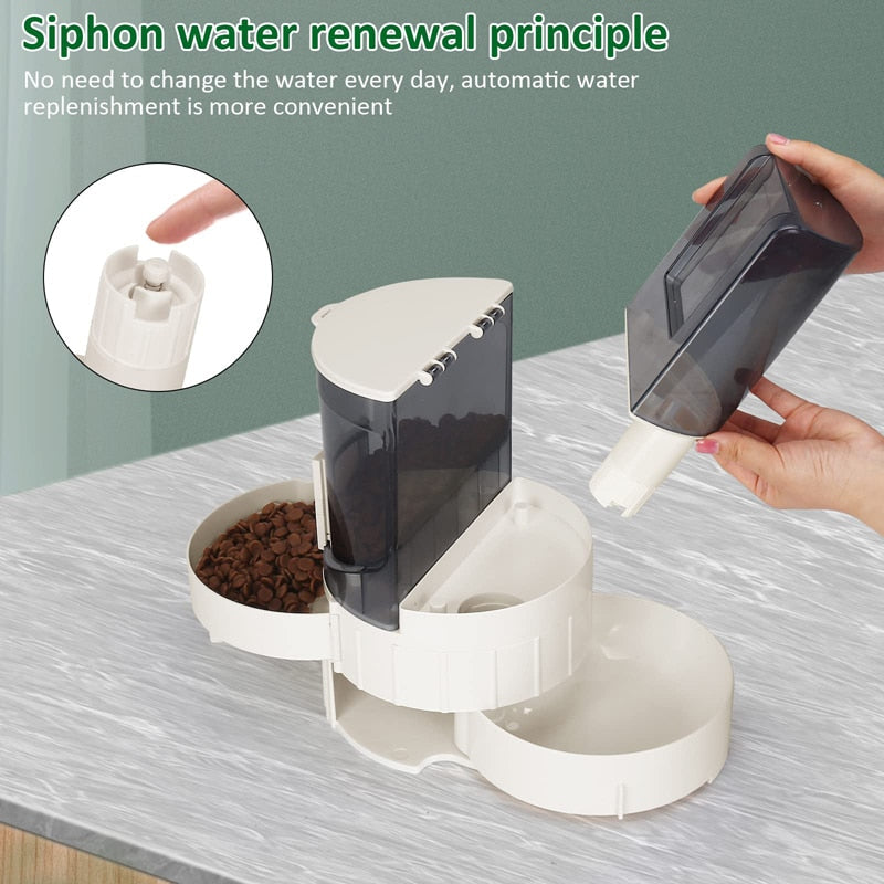 2 In 1 Eco Friendly Large Capacity Dog Feeder