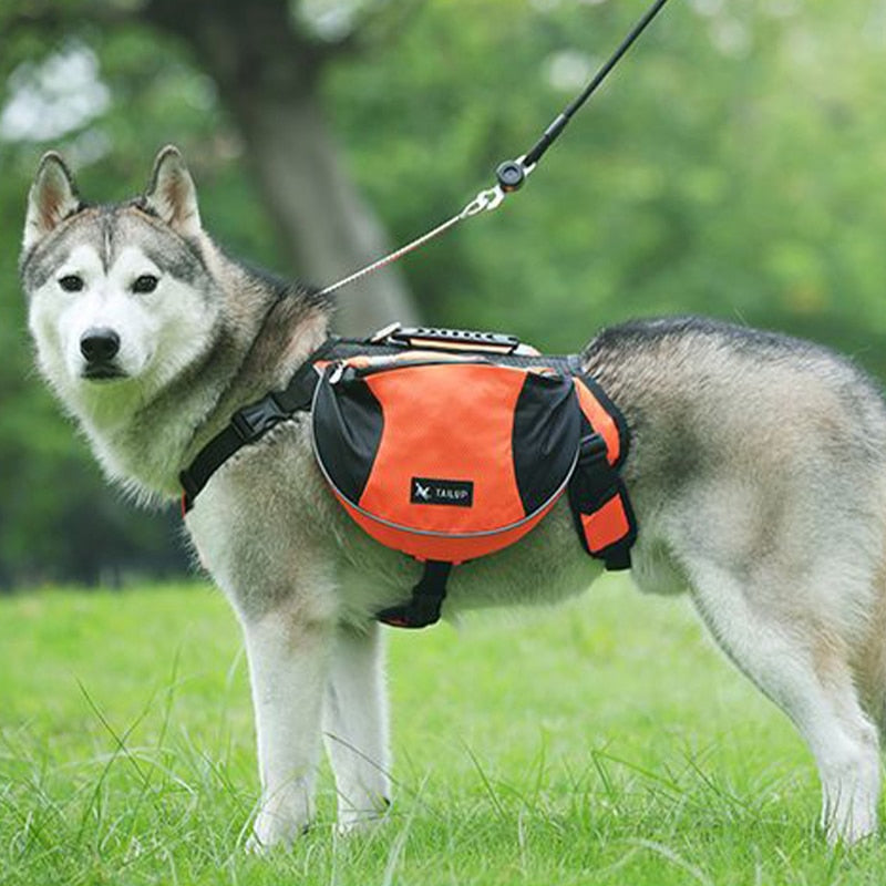 Outdoor Nylon Dog Saddlebag