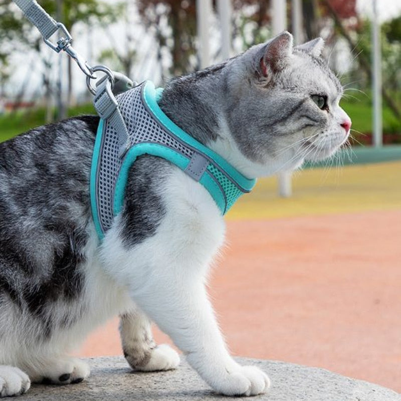Escape Proof Cat Harness Leash