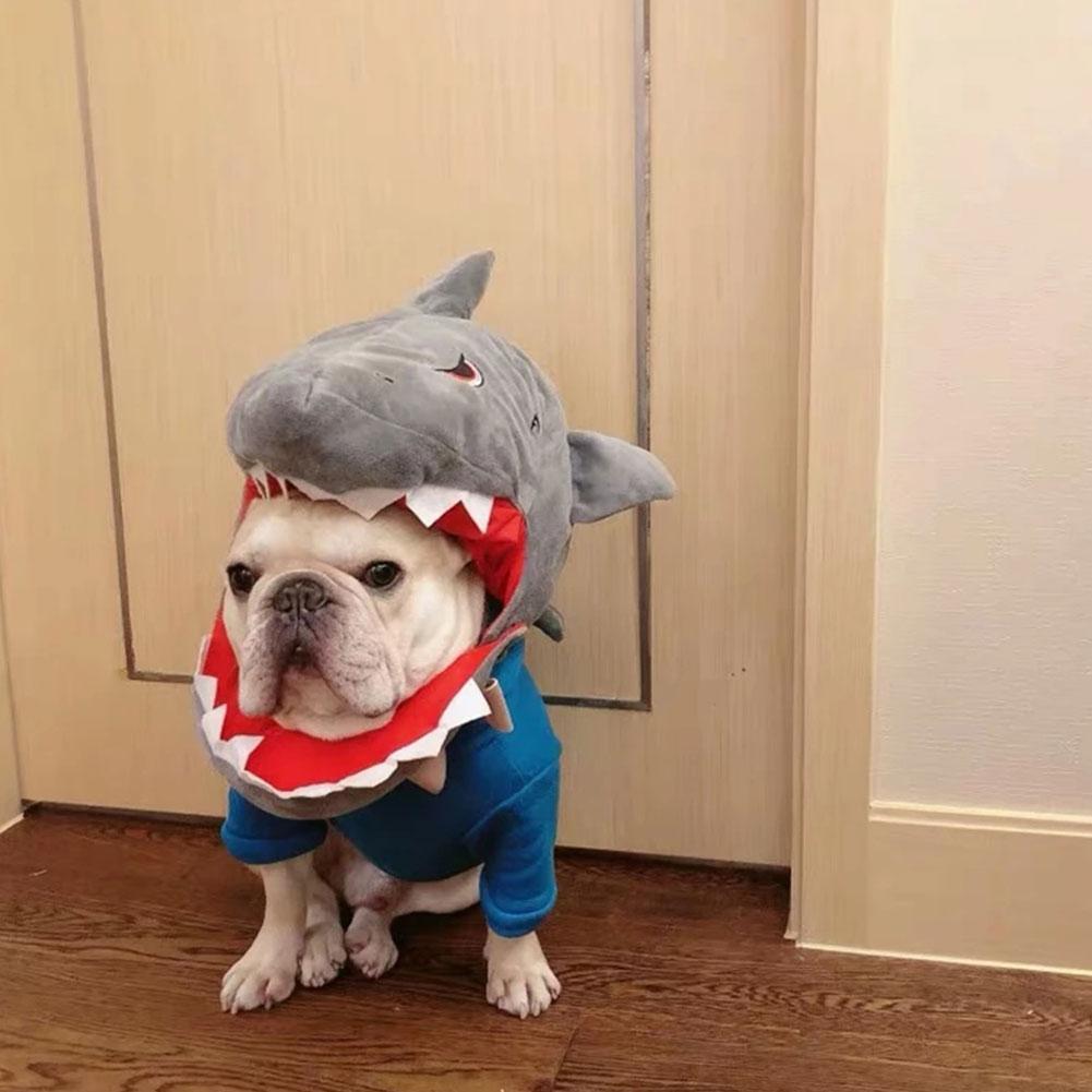 Cute Great Shark Dog Headgear