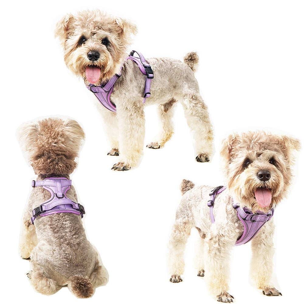 Outdoor Walking Reflective Dog Harness