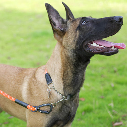 Leather Wrapped Outdoor Dog Collar