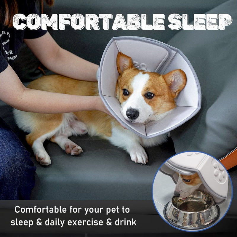 Soft Padding Recovery Dog Cone Collar