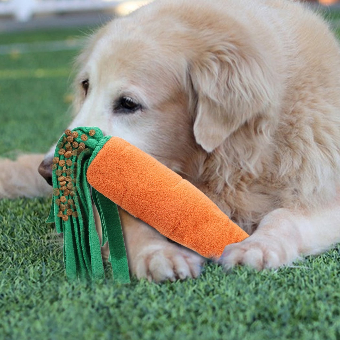 Squeaky Carrot Dog Sniffing Toy