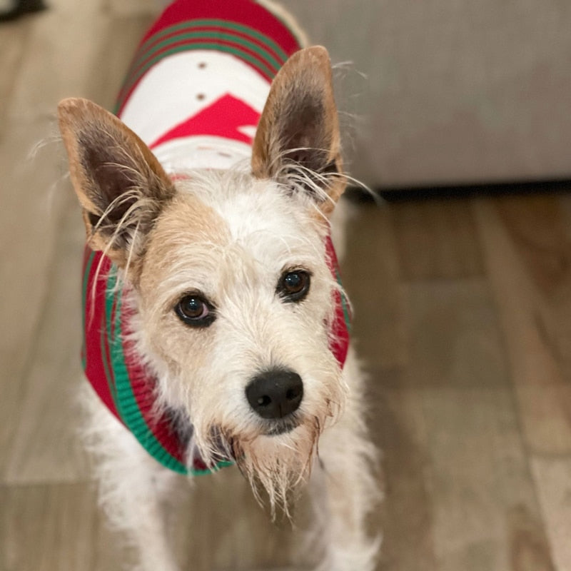 Christmas Snowman Dog Sweaters