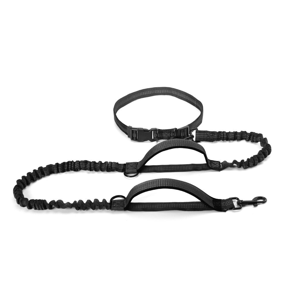 Reflective Dual Handle Bungee Dog Leash