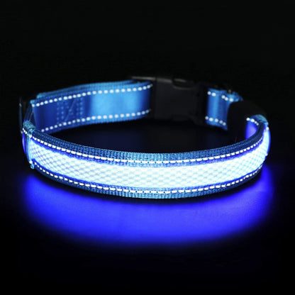 Super Bright LED Dog Collar