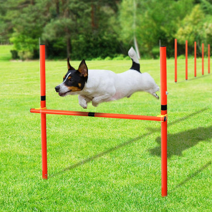 Outdoor Dog Training Jumping Pole