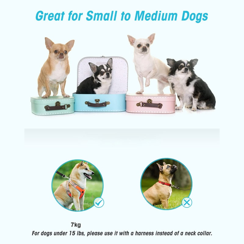 Multifunctional Hands Free Dog Leashes