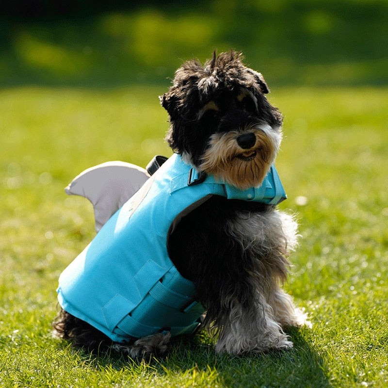 Blue Shark Dog Life Jacket