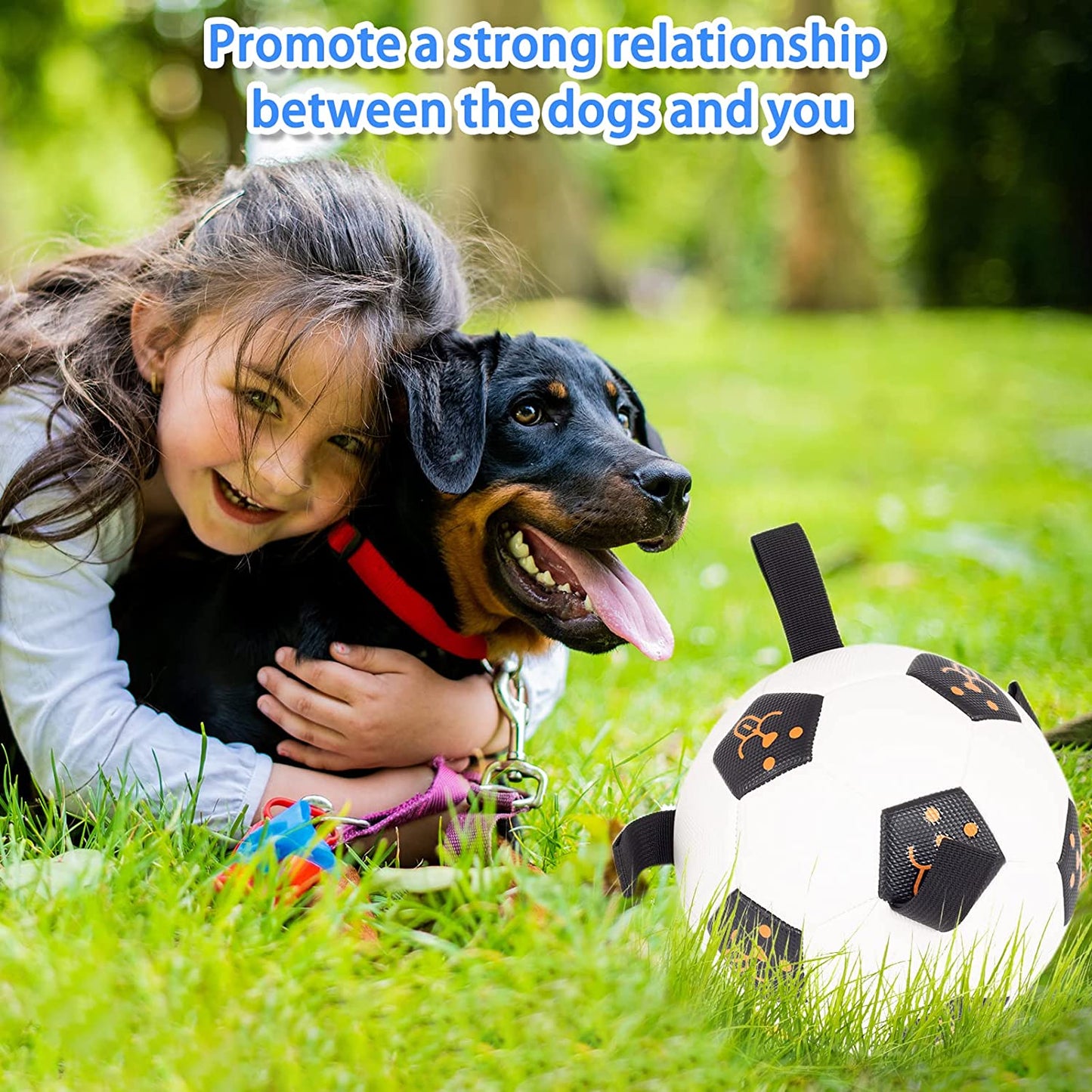 Interactive Outdoor Dog Soccer Ball