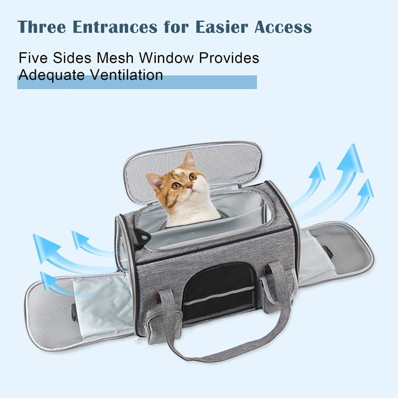 Collapsible Padded Handle Pet Carrier