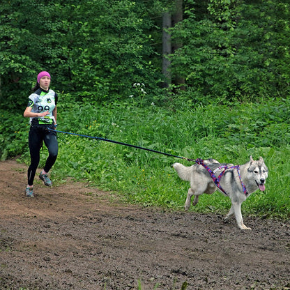 Reflective Big Dog Sledding Harness