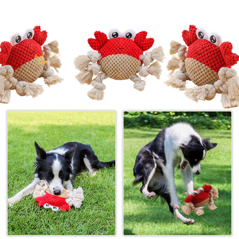 Squeaky Crab Dog Chew Toy