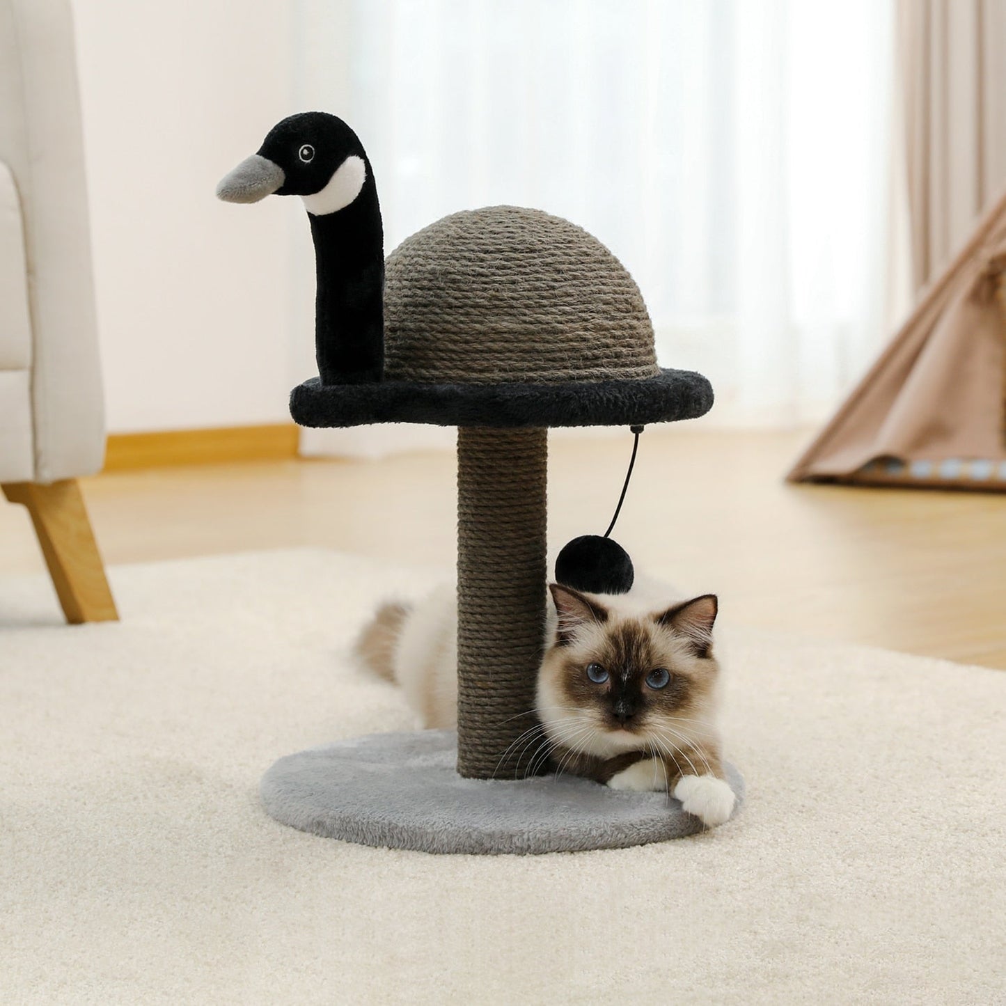Black Swan Cat Scratcher