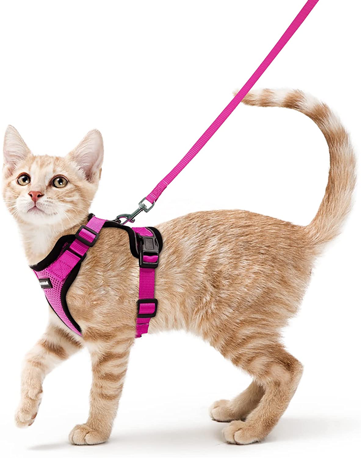 Soft Mesh Reflective Small Cat Harness