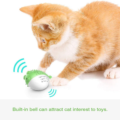 Interactive Cat Toothbrush Chew Toy