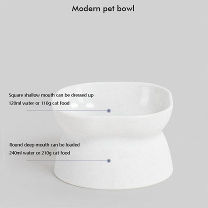 Tilted Heightened Cat Bowls