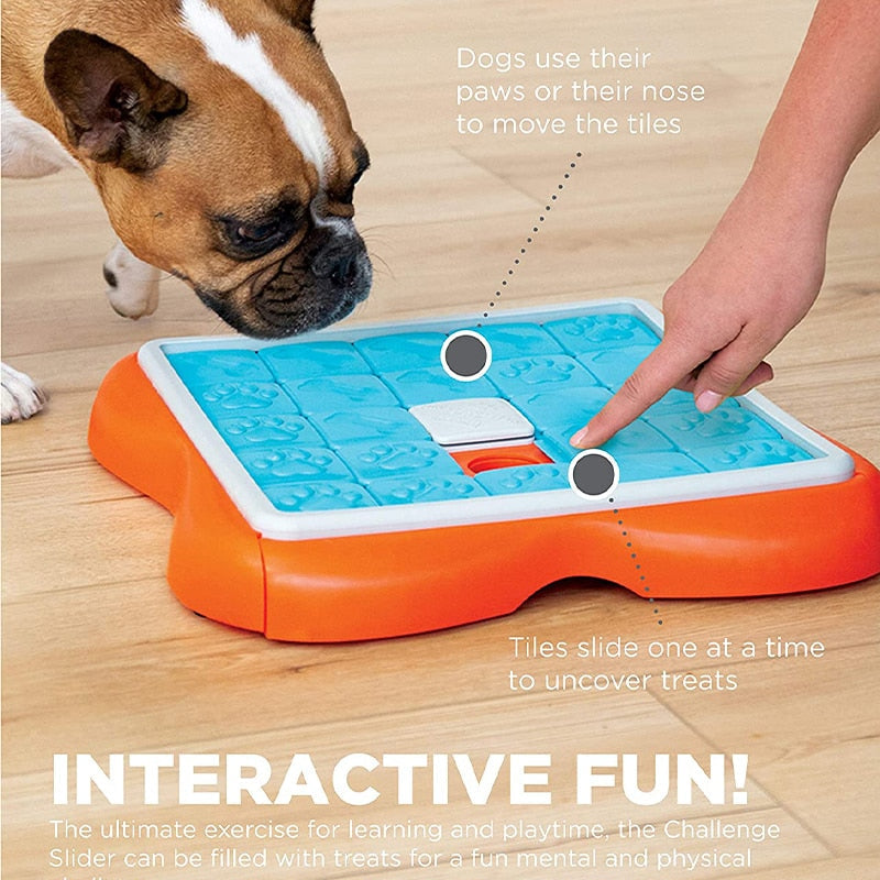 Interactive Challenge Puzzle Dog Toy