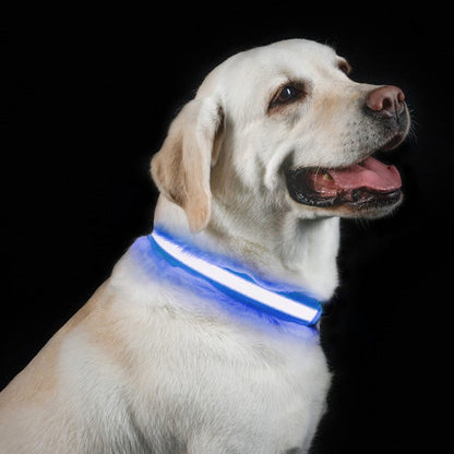 Super Bright LED Dog Collar