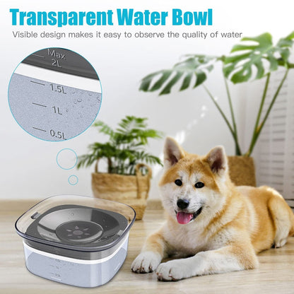 2L Visible Level Dog Water Feeder