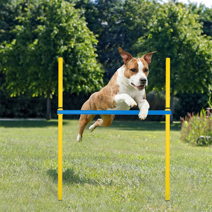 Dog Agility Obstacle Course Sets