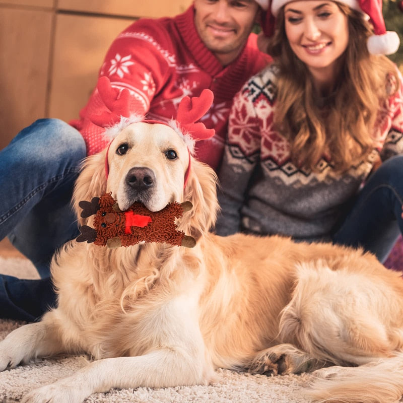 Squeaky Christmas Plush Dog Toy