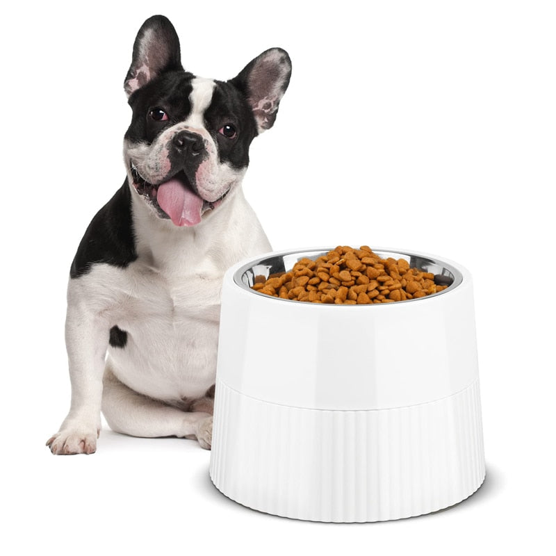 Tower Design Elevated Dog Bowl