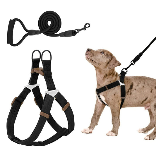 No Pull Dog Harness Leash Set