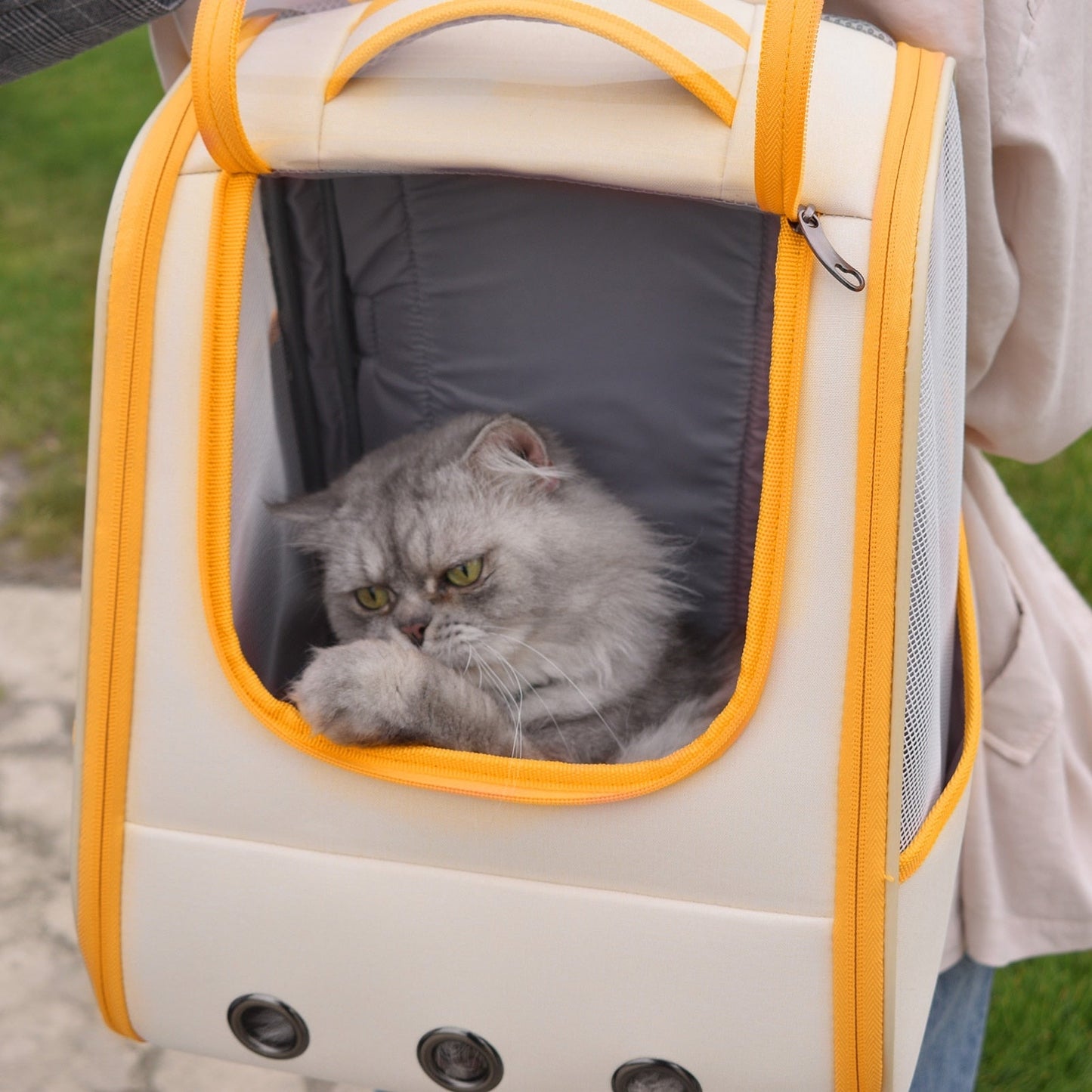 Dog Backpack With Transparent Window