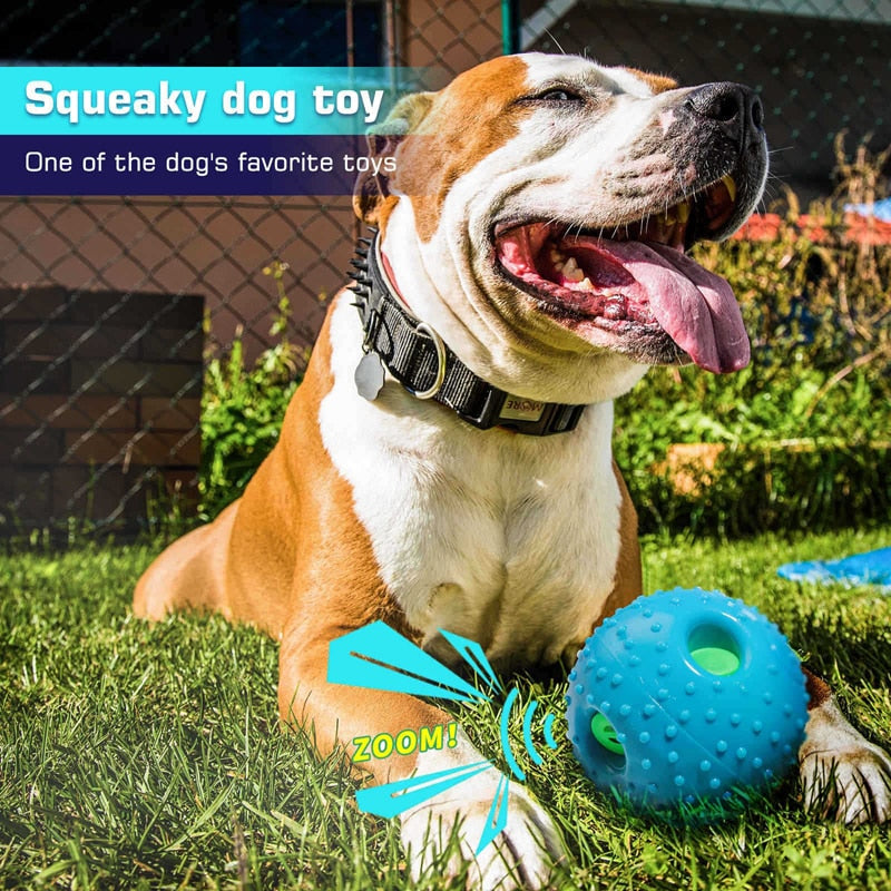 Fun Wobble Squeaky Dog Toys