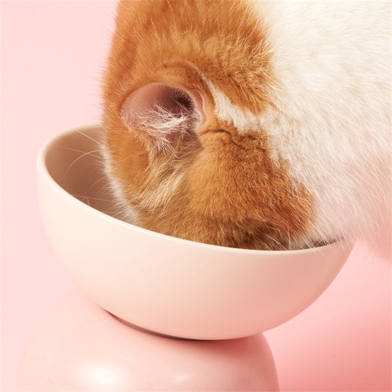 High Foot Neck Protector Cat Bowl