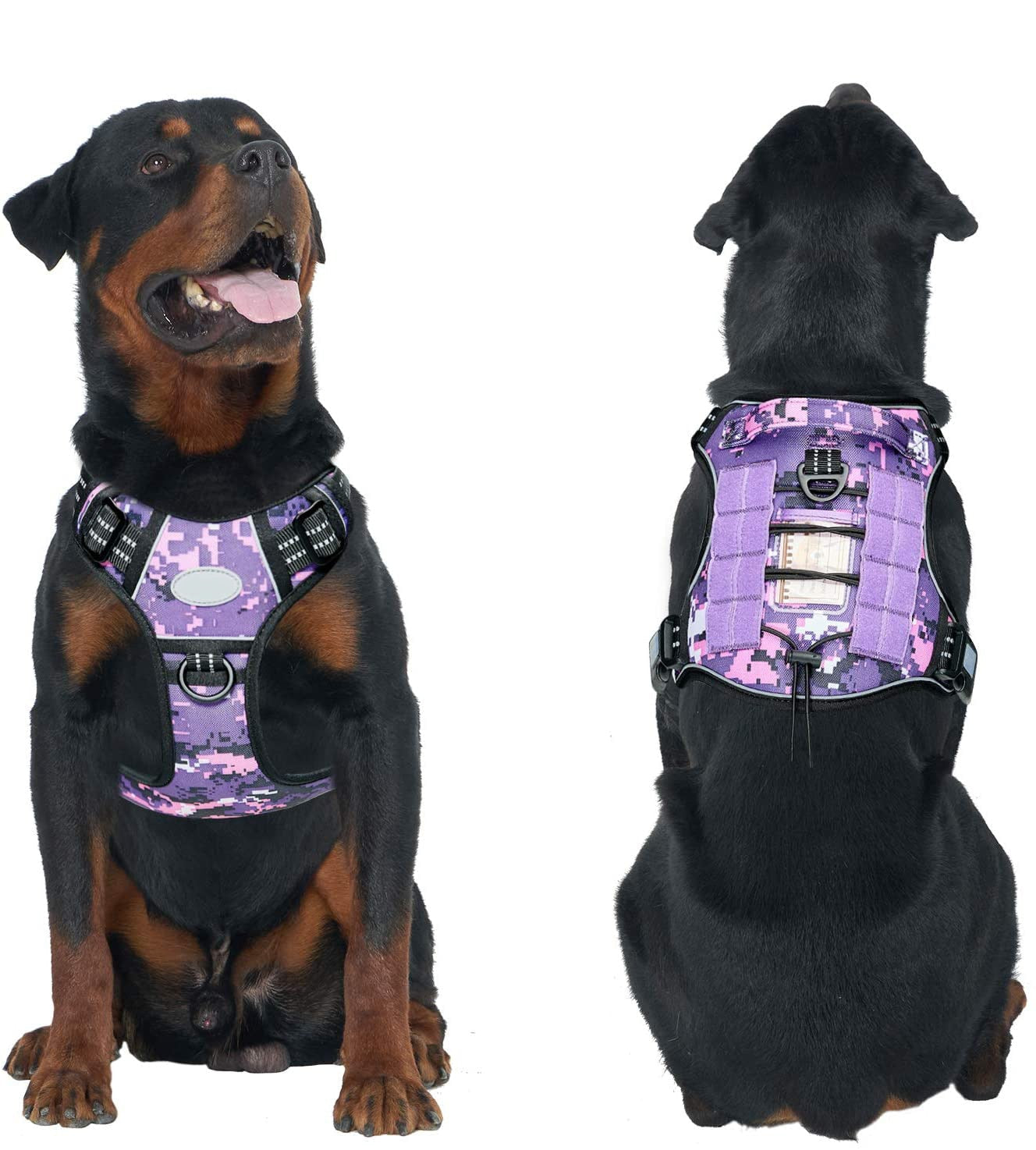 Training Military Tactical Dog Harness