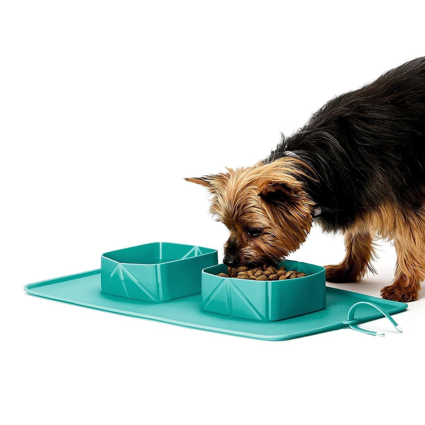 Silicone Portable Outdoor Dog Bowl