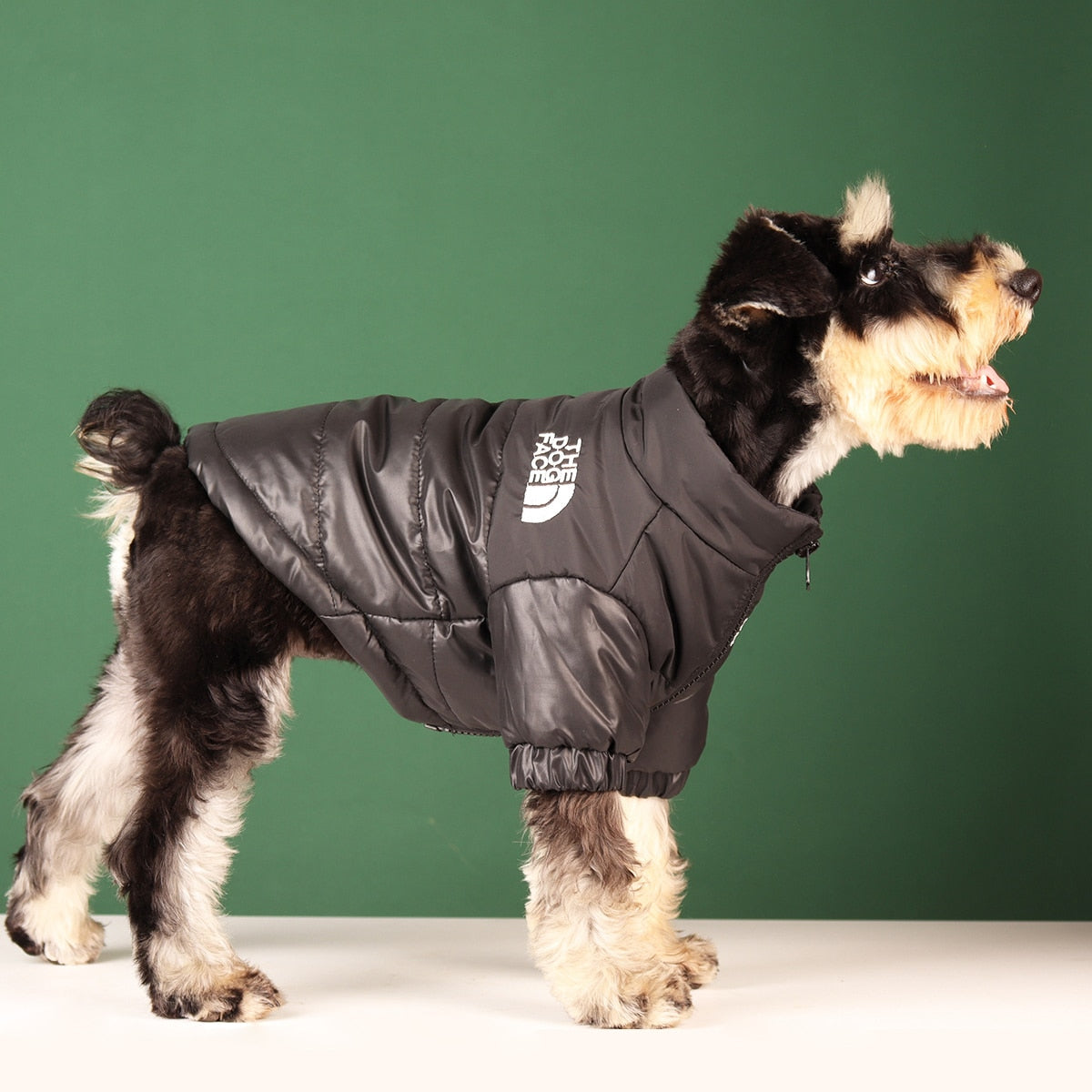 Large Winter Dog Windproof Jackets