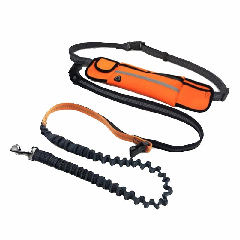 Premium Hands Free Dog Leash