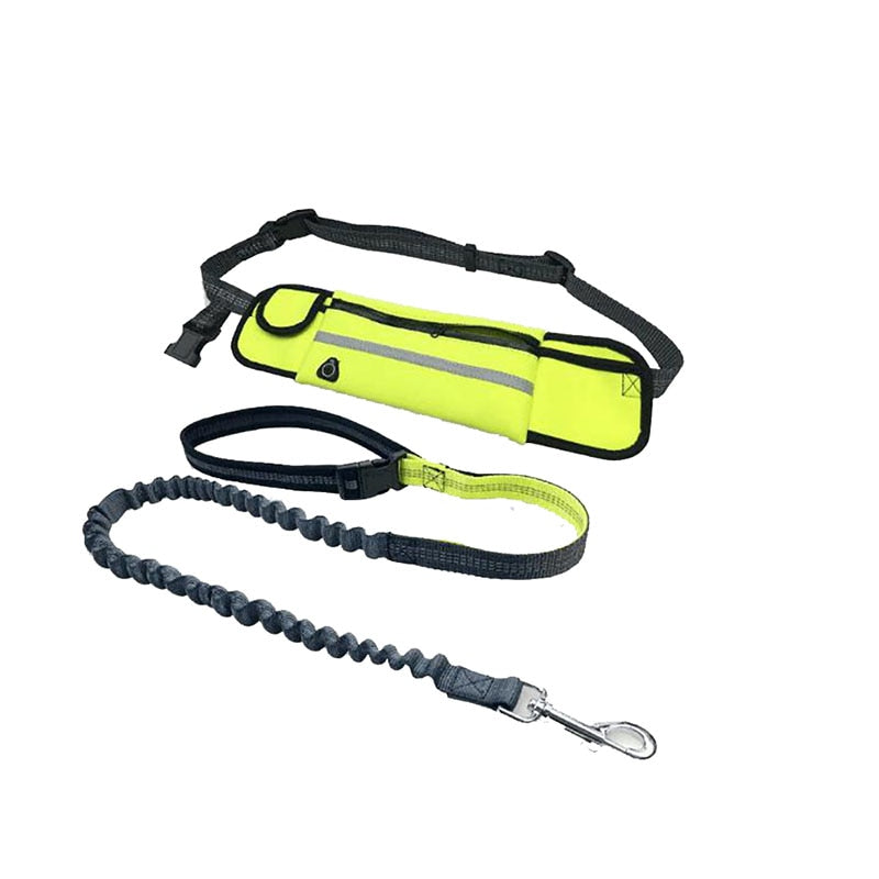 Premium Hands Free Dog Leash